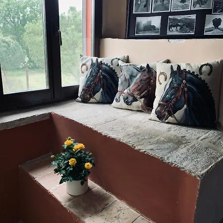 Della Cavalleria Appartement *