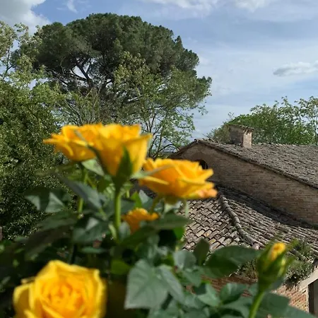 Della Cavalleria Appartement *